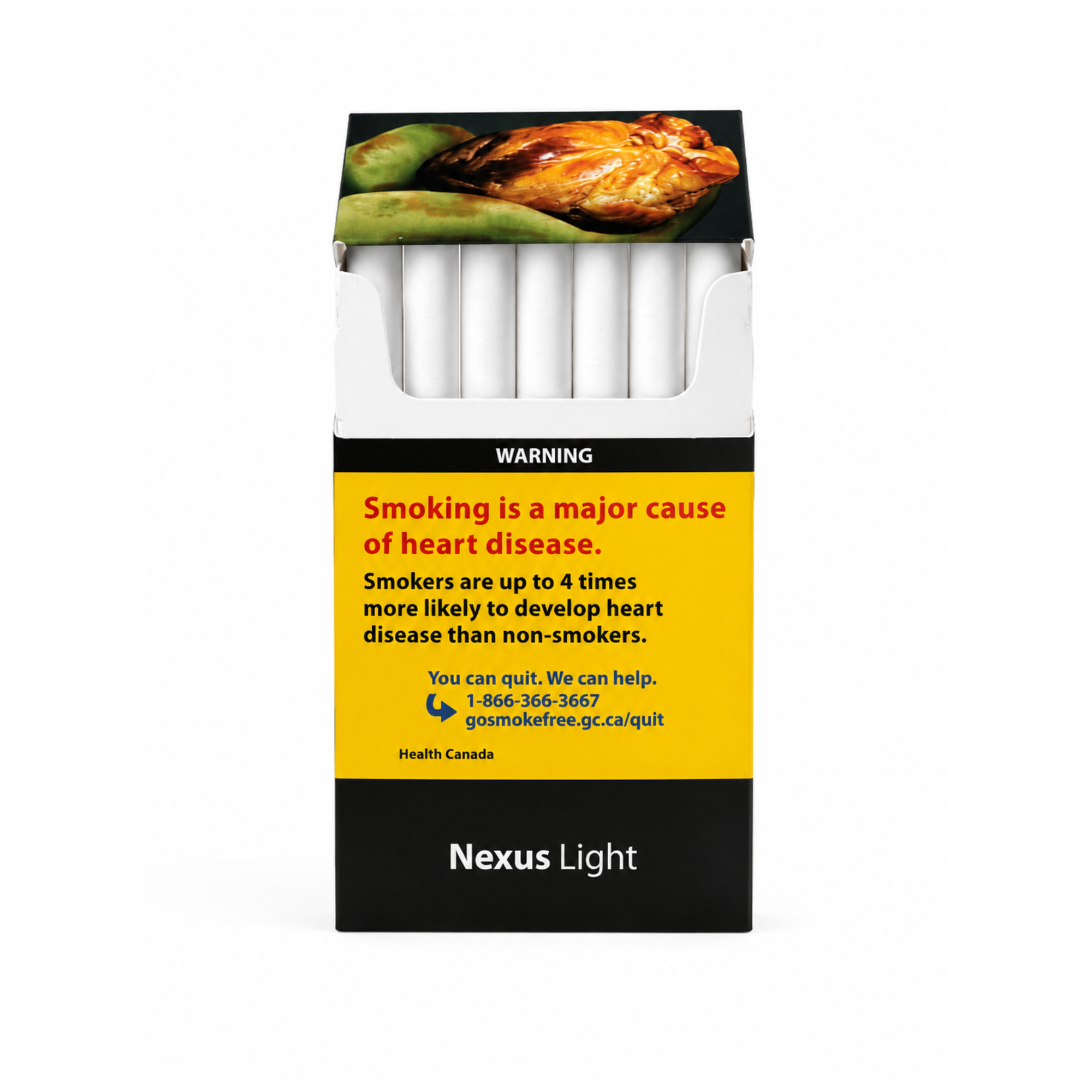 Nexus Light - Image 2