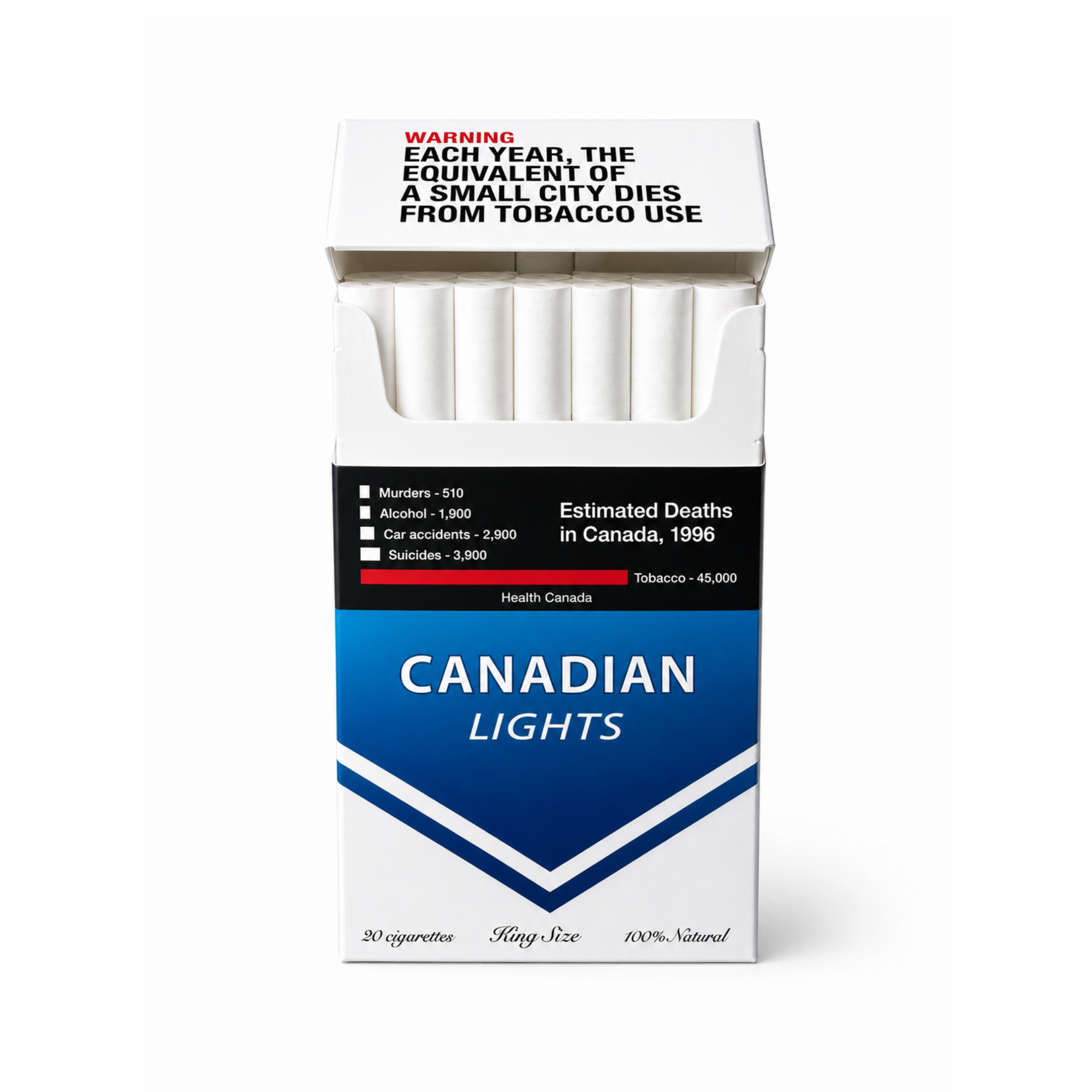 Canadian Lights - Image 2